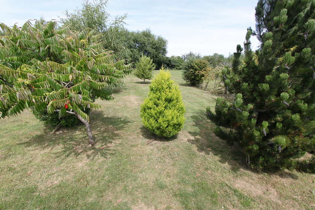Green Meadows 2