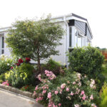 Green Meadows 7