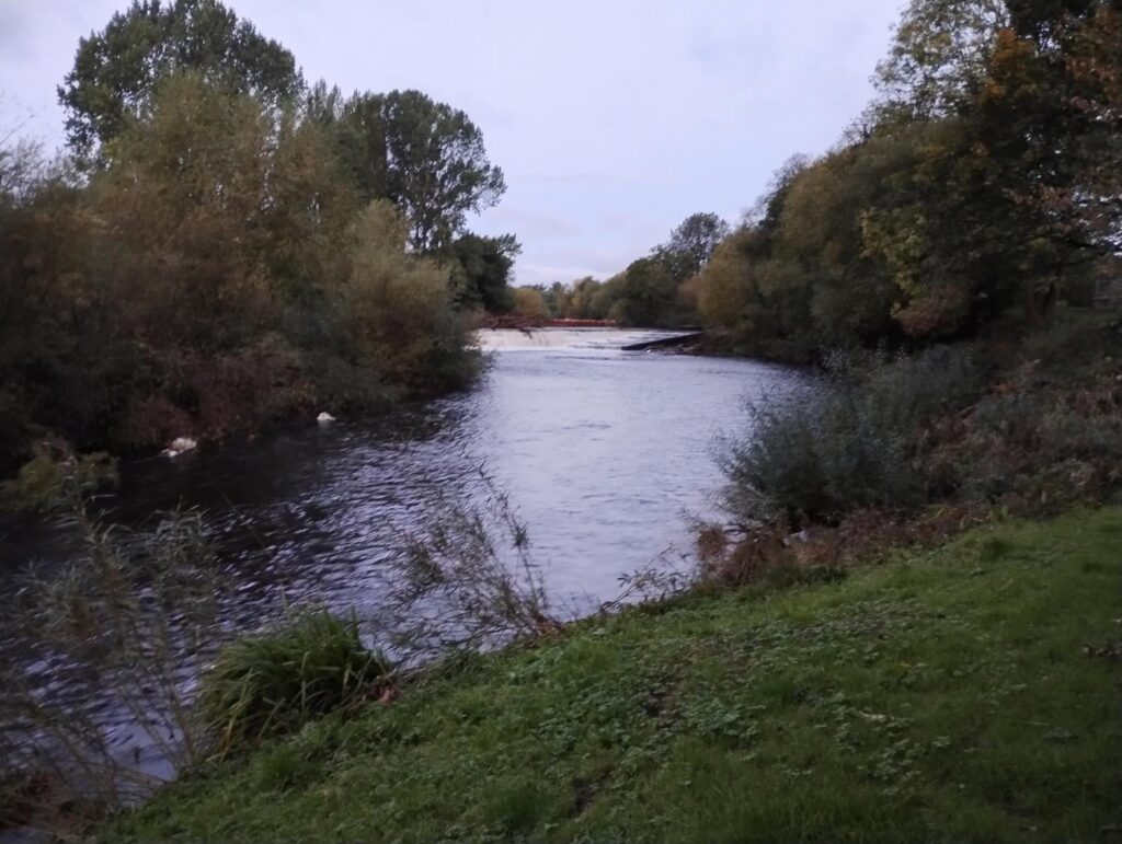 IMG_20251009_070615132_HDR