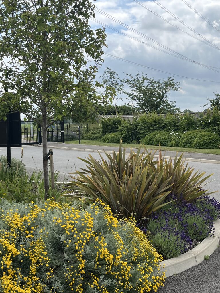Park 1